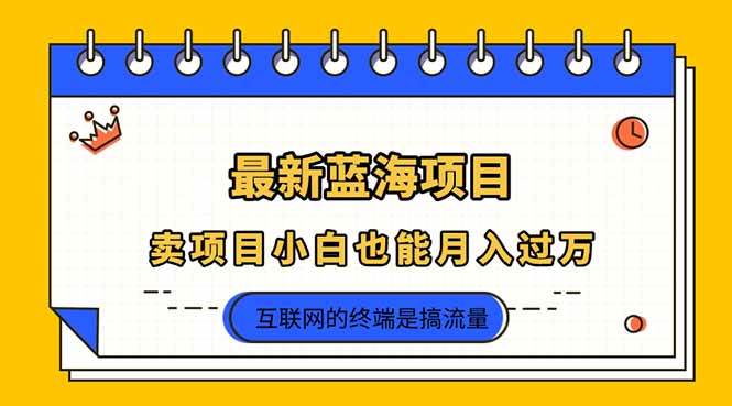 （14289期）2025年最新蓝海项目，卖项目小白也能月入过万-鑫梵淘