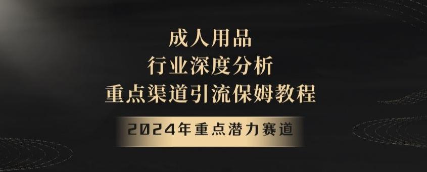 2024年重点潜力赛道，成人用品行业深度分析，重点渠道引流保姆教程【揭秘】-鑫梵淘