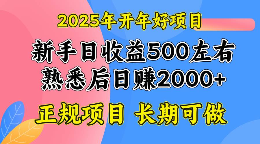 （14076期）2025开年好项目，单号日收益2000左右-鑫梵淘