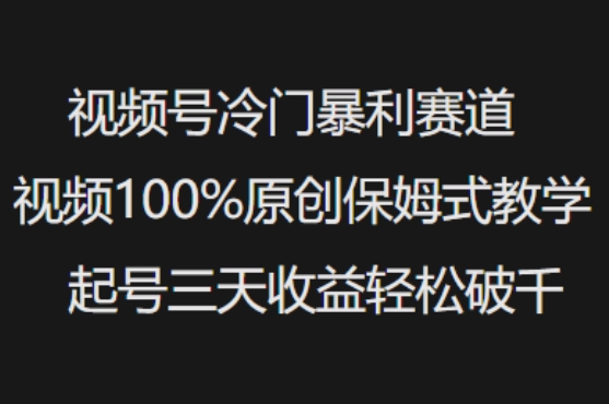 视频号冷门暴利赛道视频100%原创保姆式教学起号三天收益轻松破千-鑫趣淘