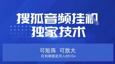 【搜狐音频挂G】独家技术，可矩阵可放大，红利期稳定月入8k【揭秘】-鑫梵淘