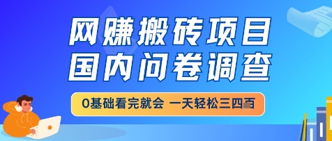 网创搬砖项目，国内问卷调查，小白轻松上手，一天三四张的也不难，干就完了【揭秘】-鑫梵淘