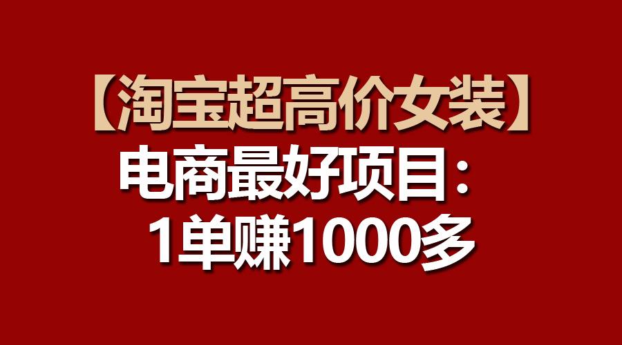 【淘宝超高价女装】电商最好项目：一单赚1000多-鑫梵淘