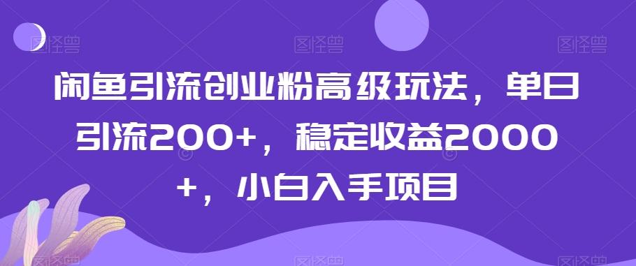 闲鱼引流创业粉高级玩法，单日引流200+，稳定收益2000+，小白入手项目-鑫梵淘