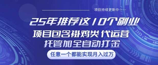 25年推荐这10个副业项目包含褂鸡类、代运营托管类、全自动打金类【揭秘】-鑫梵淘