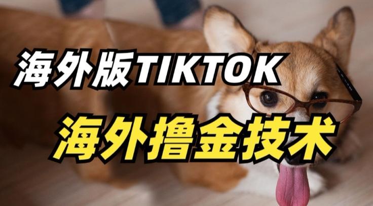 抖音海外版tiktok撸金技术，这个风口行业，赚钱真的不难【揭秘】-鑫梵淘