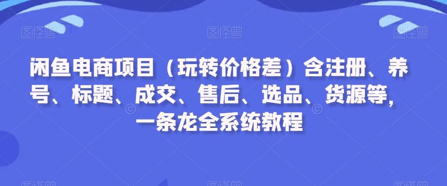 闲鱼电商项目(玩转价格差)含注册、养号、标题、成交、售后、选品、货源等，一条龙全系统教程-鑫梵淘
