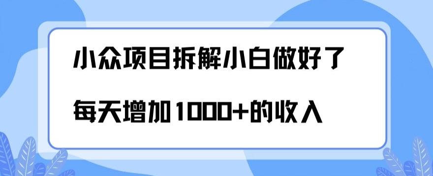 小众项目拆解，小白做好了每天可增加1000多的收入-鑫梵淘