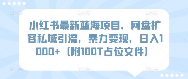 小红书最新蓝海项目，网盘扩容私域引流，暴力变现，日入1000+(附100T占位文件)【揭秘】-鑫梵淘