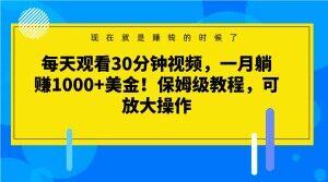 每天观看30分钟视频，一月躺赚1000+美金！保姆级教程，可放大操作【揭秘】-鑫梵淘