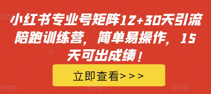 小红书专业号矩阵12+30天引流陪跑训练营，简单易操作，15天可出成绩!-鑫梵淘