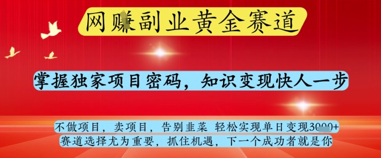 网创副业黄全赛道，掌握独家项目密码，知识变现快人一步，告别韭菜轻松实现单日变现1k+【揭秘】-鑫梵淘