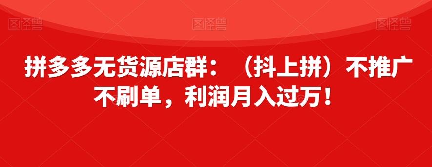 拼多多无货源店群：（抖上拼）不推广不刷单，利润月入过万！【揭秘】-鑫梵淘