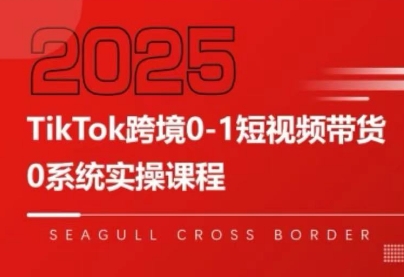 大亿老师·TikTok跨境0-1短视频带货-鑫梵淘
