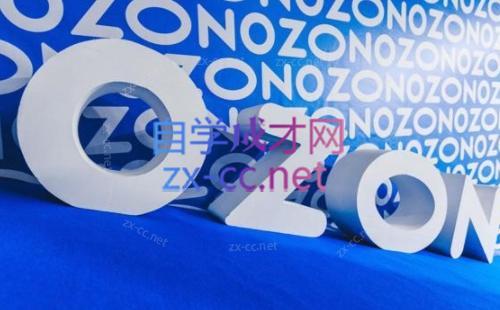 森哥·出海俄罗斯电商实操(2024)-鑫梵淘