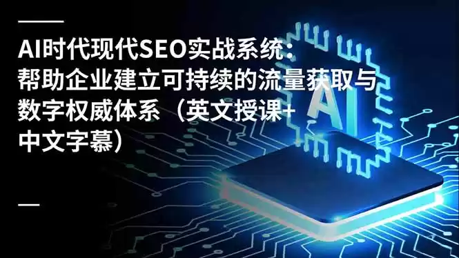 AI时代现代SEO实战系统：帮助企业建立可持续的流量获取与数字权威体系(英文授课+中文字幕-鑫梵淘