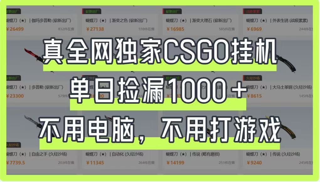 真全网独家CSGO挂机，单日捡漏1000+，不用电脑，不用养号-鑫梵淘