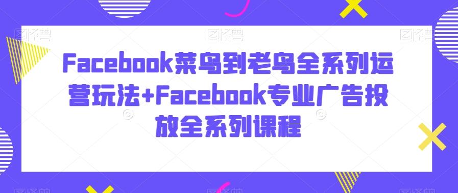 Facebook菜鸟到老鸟全系列运营玩法+Facebook专业广告投放全系列课程-鑫梵淘