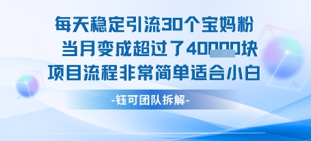 每天稳定引流30个人 当月变成超过了4个W项目流程非常简单适合小白-鑫梵淘