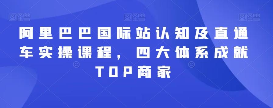 阿里巴巴国际站认知及直通车实操课程，四大体系成就TOP商家-鑫梵淘