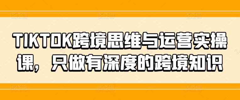 TIKTOK跨境思维与运营实操课，只做有深度的跨境知识-鑫梵淘