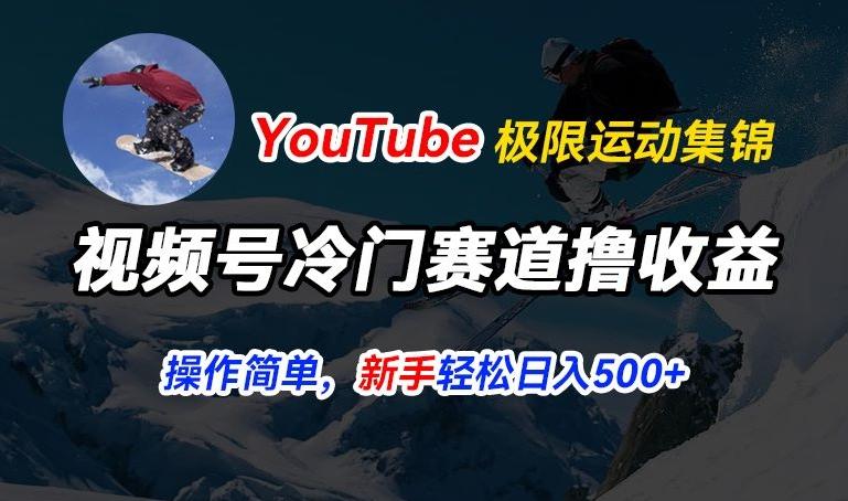 视频号冷门赛道撸收益，YouTube搬运极限运动集锦，暴力起号，操作简单流量高，轻松日入5张【揭秘】-鑫梵淘