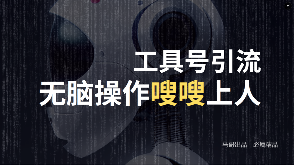 24年抖音最新工具号日引流300+创业粉，日入5000+-鑫梵淘