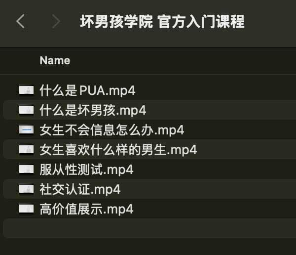 坏男孩学院 官方入门课程-鑫梵淘