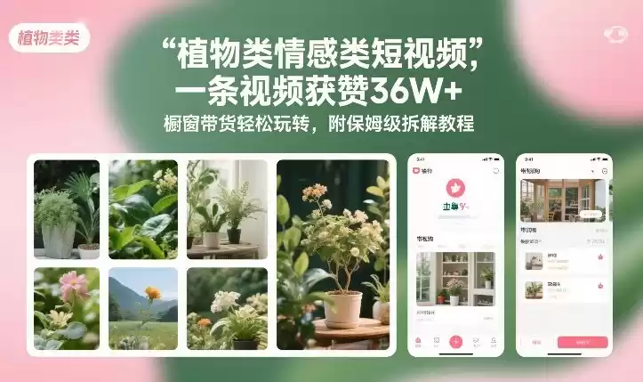 植物类情感类短视频，一条视频获赞36W+，橱窗带货轻松玩转，附保姆级拆解教程-鑫梵淘