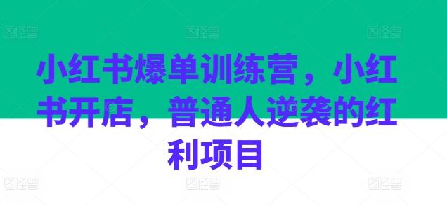 小红书爆单训练营，小红书开店，普通人逆袭的红利项目-鑫梵淘