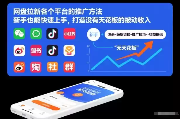 网盘拉新各个平台的推广方法，新手也能快速上手，打造没有天花板的被动收入-鑫梵淘