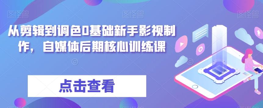 从剪辑到调色0基础新手影视制作，自媒体后期核心训练课-鑫趣淘