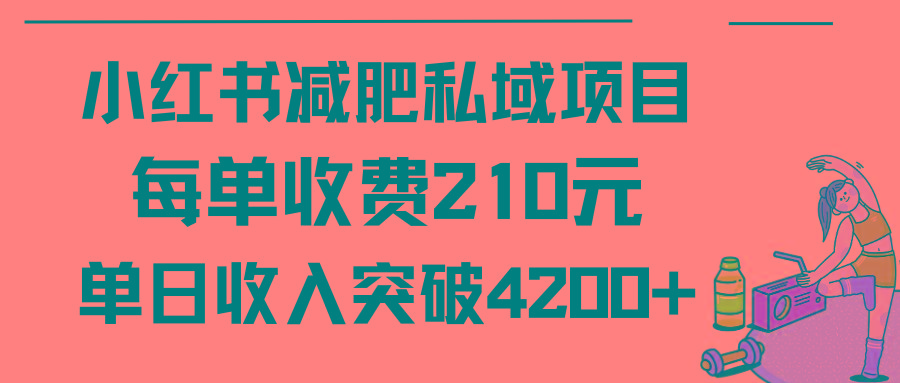 (9466期)小红书减肥私域项目每单收费210元单日成交20单，最高日入4200+-鑫梵淘