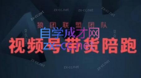 狼团联盟·2024视频号带货-鑫梵淘