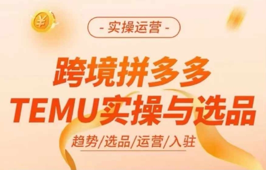 跨境拼多多TEMU实操与选品，多多temu跨境选品运营实操-鑫梵淘