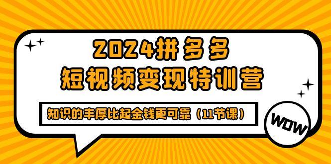 (9817期)2024拼多多短视频变现特训营，知识的丰厚比起金钱更可靠(11节课)-鑫梵淘