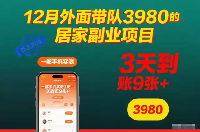 12月外面带队3980的居家副业项目，一部手机实测3天到账9张+，首发教程【揭秘】-鑫梵淘