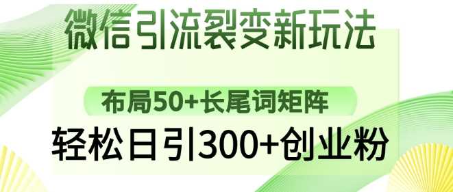 微信引流裂变新玩法：布局50+长尾词矩阵，轻松日引300+创业粉-鑫梵淘