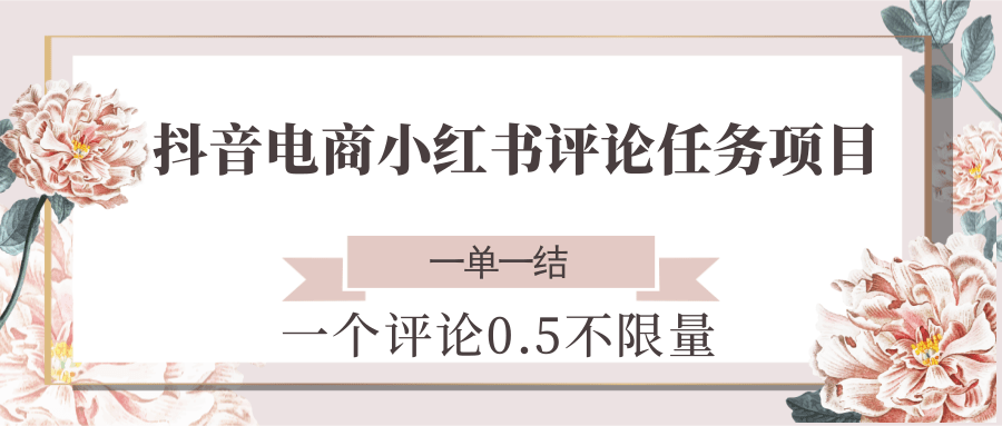 抖音电商小红书评论任务项目，一个评论0.5，一单一结 不限量-鑫梵淘