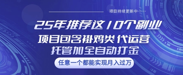 25年推荐这10个副业项目包含褂鸡类、代运营托管类、全自动打金类【揭秘】-鑫梵淘