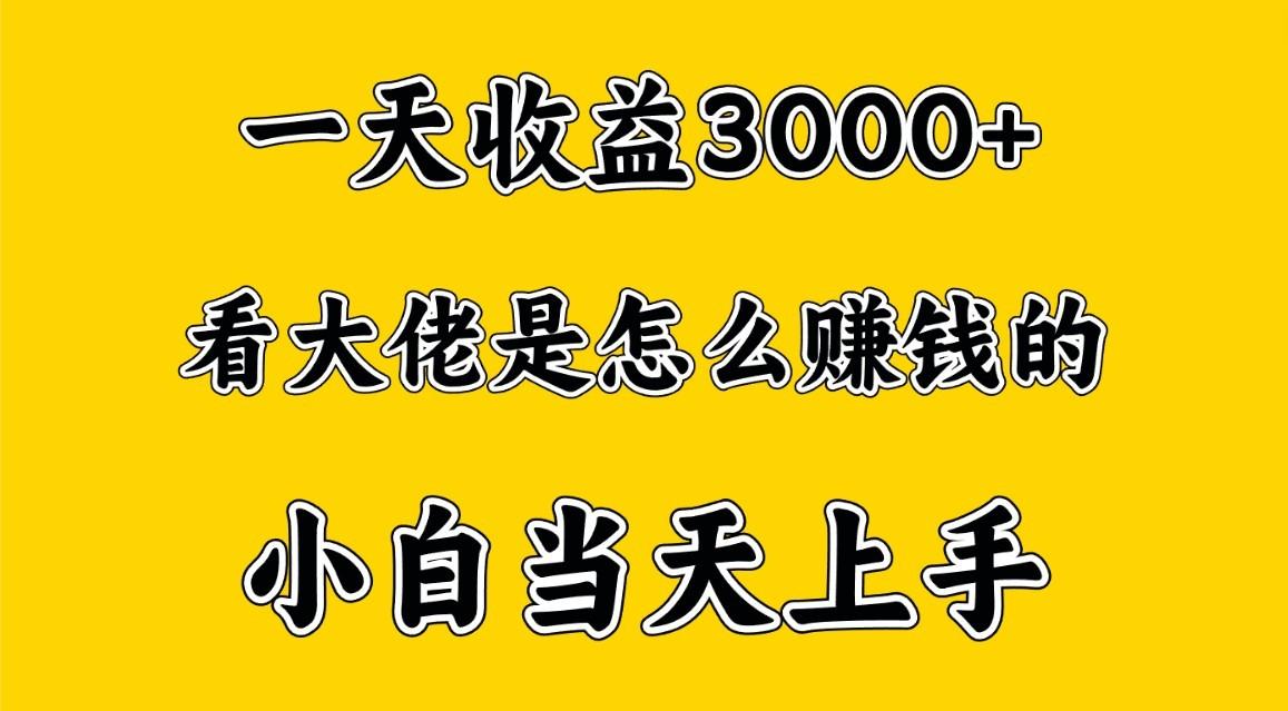 一天赚3000多，大佬是这样赚到钱的，小白当天上手，穷人翻身项目-鑫梵淘