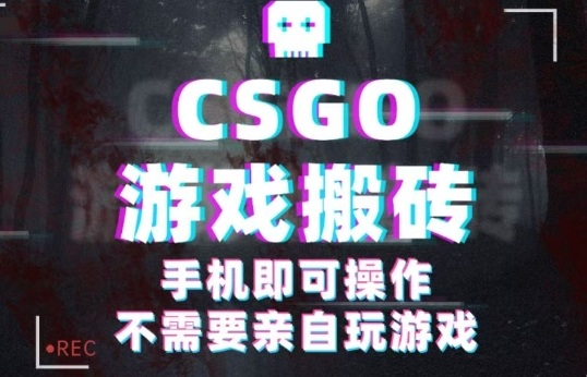 CSGO游戏挂G捡漏，单日扫货5张+，年底小高峰上车可吃肉，手机即可操作，兼职副业创业网创【揭秘】-鑫梵淘
