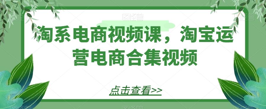 淘系电商视频课，淘宝运营电商合集视频-鑫梵淘