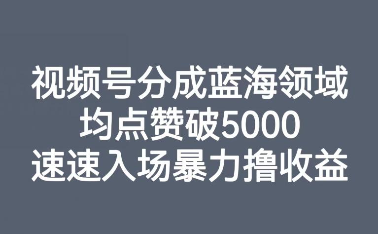 视频号分成蓝海领域，均点赞破5000，速速入场暴力撸收益-鑫梵淘