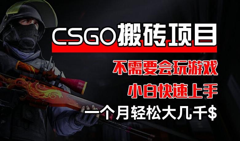 CSGO 装备搬砖项目，操作简单，不需要会玩游戏，小白也能快速上手，一个月轻松大几千【揭秘】-鑫梵淘