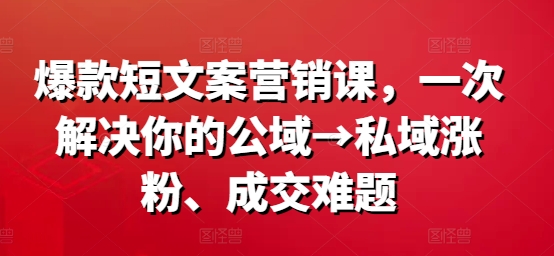 爆款短文案营销课，一次解决你的公域→私域涨粉、成交难题-鑫梵淘