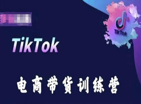 TikTok电商带货训练营，跟随时代潮流，跨境掘金-鑫梵淘