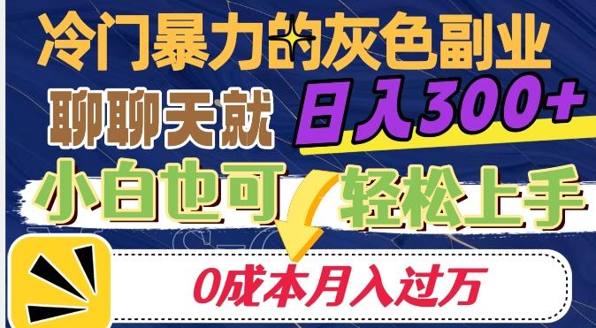 冷门暴利的副业项目，聊聊天就能日入300+，0成本月入过万【揭秘】-鑫梵淘