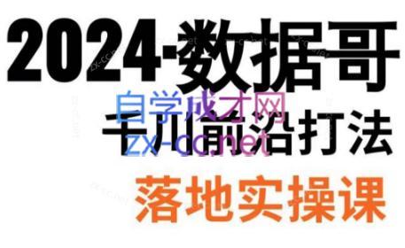 数据哥·2024年千川前沿打法落地实操课-鑫梵淘