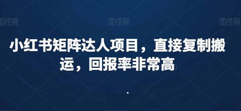 小红书矩阵达人项目，直接复制搬运，回报率非常高-鑫梵淘